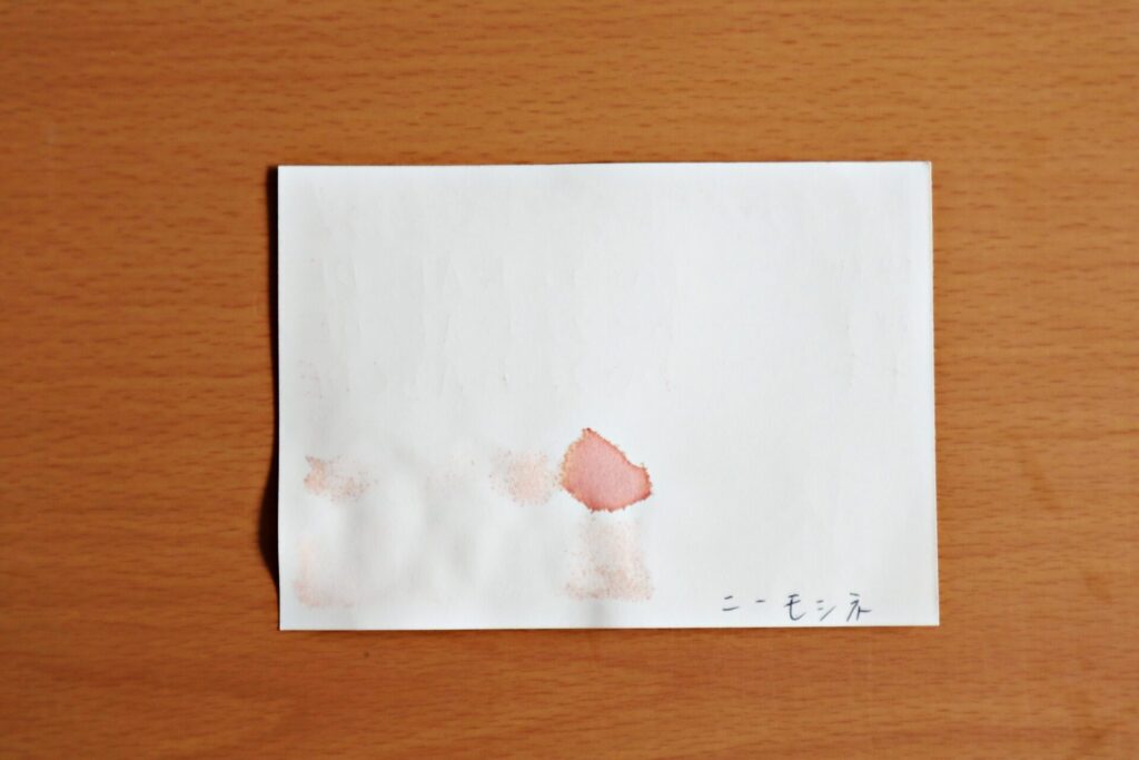 『盛岡・石割桜』で書いたニーモシネの裏